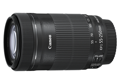 เลนส์ EF - EF-S55-250mm f/4-5.6 IS STM - Canon Thailand